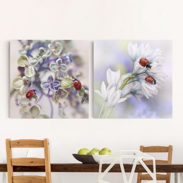 Impression sur toile 2 parties - Ladybug On Flowers