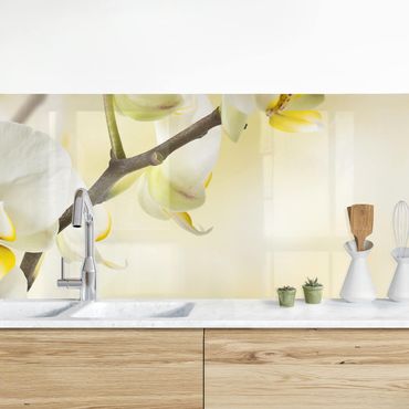 Revêtement mural cuisine - Orchid Twig