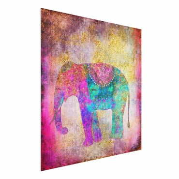 Impression sur forex - Colourful Collage - Indian Elephant