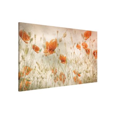 Tableau magnétique - Poppy Flowers And Grasses In A Field