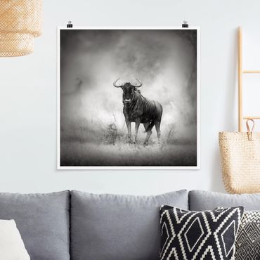 Poster - Staring Wildebeest