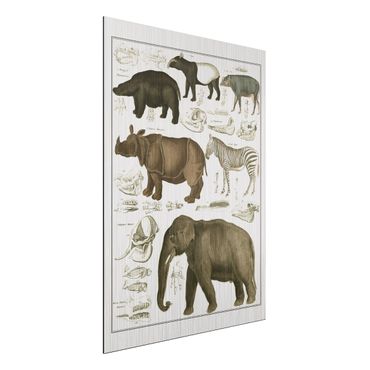 Impression sur aluminium - Vintage Board Elephant, Zebra And Rhino