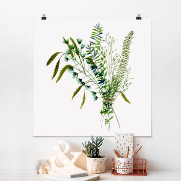 Poster - Meadow Grasses I