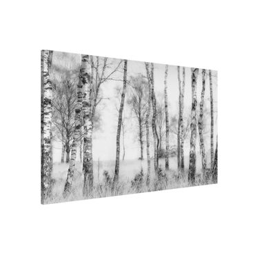 Tableau magnétique - Mystic Birch Forest Black And White
