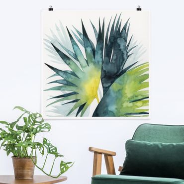 Poster - Tropical Foliage - Fan Palm