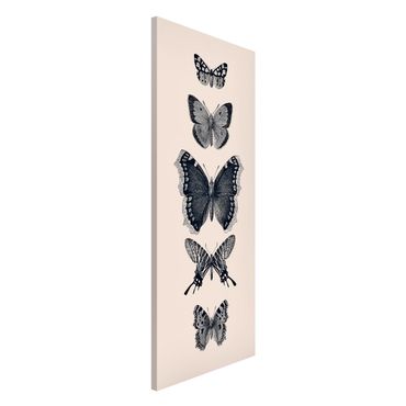 Tableau magnétique - Ink Butterflies On Beige Backdrop