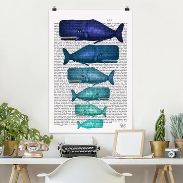 Poster citation - Animal Reading - Whale Family