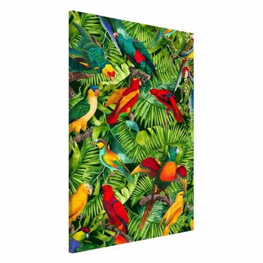 Tableau magnétique - Colourful Collage - Parrots In The Jungle