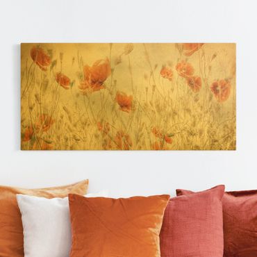 Tableau sur toile or - Poppy Flowers And Grasses In A Field