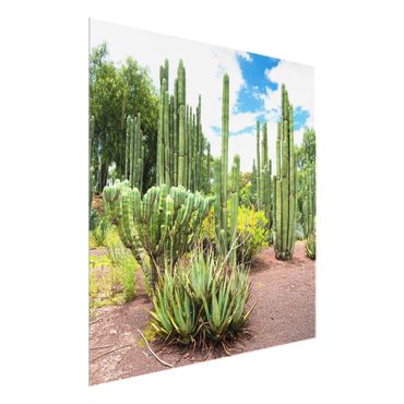 Tableau en verre - Cactus Landscape
