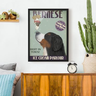 Poster encadré - Bernese Mountain Dog With Ice