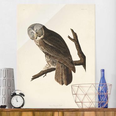 Tableau en verre - Vintage Board Great Owl