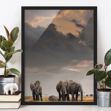 Poster encadré - Elephants in the Savannah