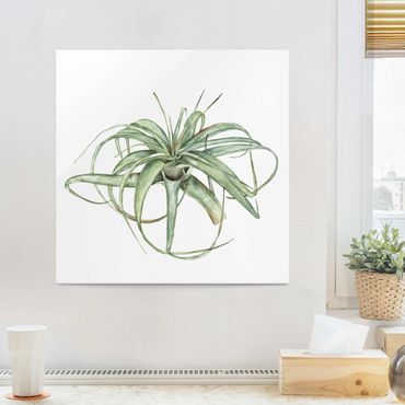 Tableau en verre - Air Plant Watercolour I