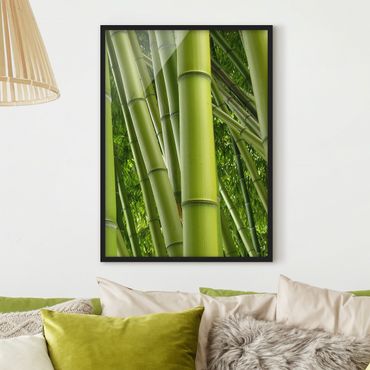 Poster encadré - Bamboo Trees No.2