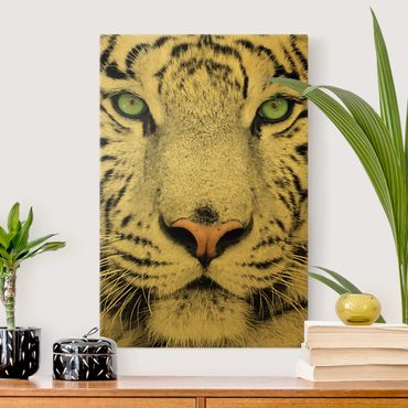 Tableau sur toile or - White Tiger