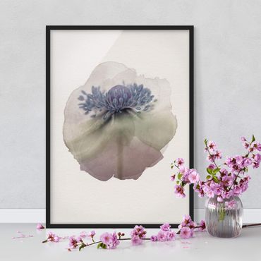 Poster encadré - WaterColours - Anemone In Violet