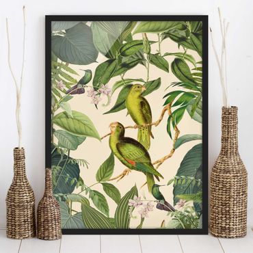 Poster encadré - Vintage Collage - Parrots In The Jungle