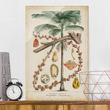 Tableau en verre - Vintage Board Exotic Palms II