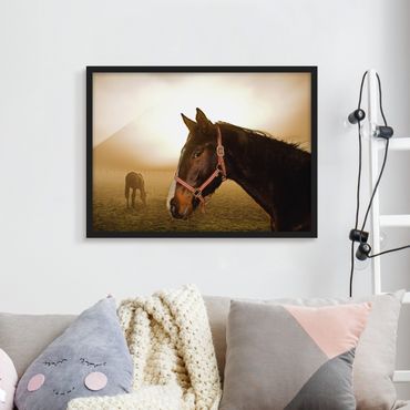 Poster encadré - Early Horse