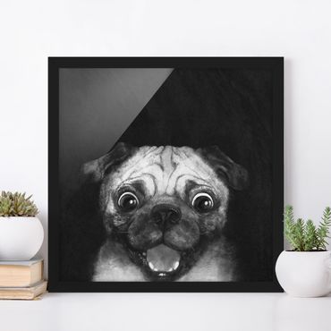 Poster encadré - Illustration Dog Pug Painting On Black And White