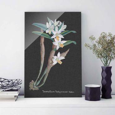 Tableau en verre - White Orchid On Linen I