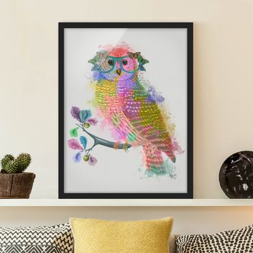 Poster encadré - Rainbow Splash Owl