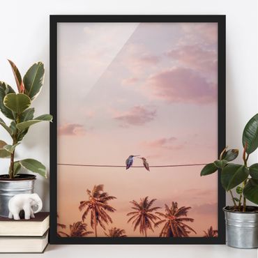 Poster encadré - Sunset With Hummingbird