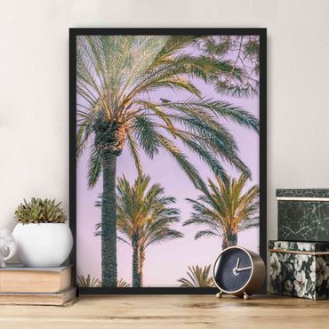 Poster encadré - Palm Trees At Sunset