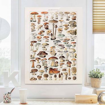 Tableau en verre - Vintage Board Mushrooms