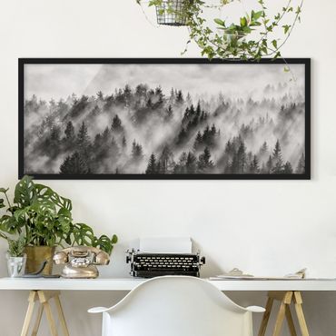 Poster encadré - Light Rays In The Coniferous Forest