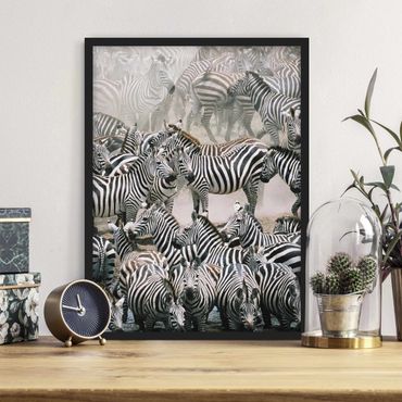 Poster encadré - Zebra Herd