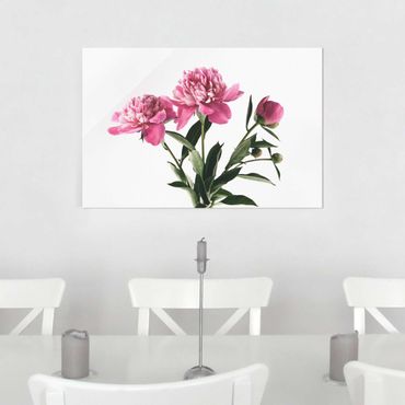Tableau en verre - Pink Flowers And Buds On White