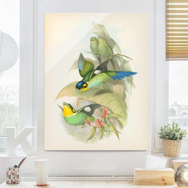 Tableau en verre - Vintage Illustration Tropical Birds