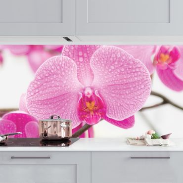 Revêtement mural cuisine - Close-Up Orchid