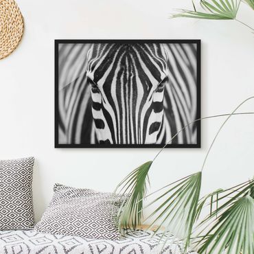 Poster encadré - Zebra Look