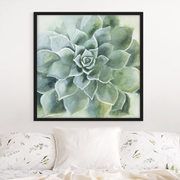 Poster encadré - Succulent Plant Watercolour Dark