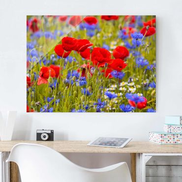 Tableau en verre - Summer Meadow With Poppies And Cornflowers