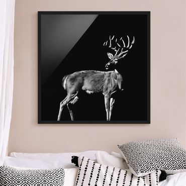 Poster encadré - Deer In The Dark