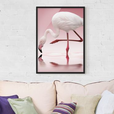 Poster encadré - Flamingo Dance