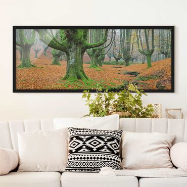 Poster encadré - Beech Forest In The Gorbea Natural Park In Spain
