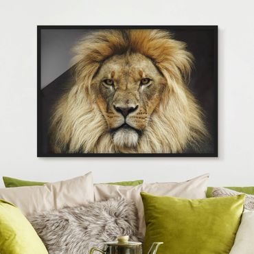 Poster encadré - Wisdom Of Lion