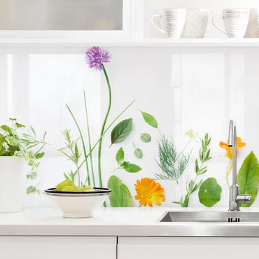 Revêtement mural cuisine - Herbs And Flowers