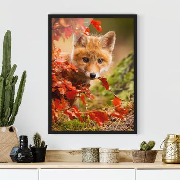 Poster encadré - Fox In Autumn