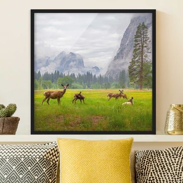 Poster encadré - Deer In The Mountains