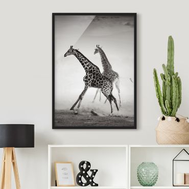Poster encadré - Giraffe Hunt