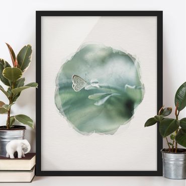 Poster encadré - WaterColours - Butterfly And Dew Drops In Pastel Green