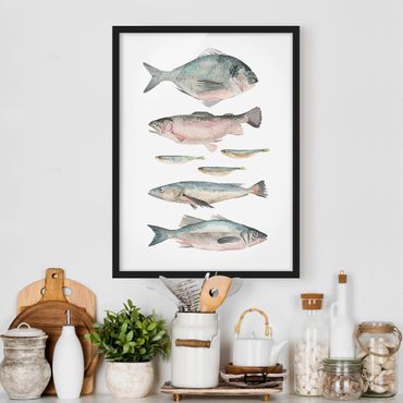 Poster encadré - Seven Fish In Watercolour II