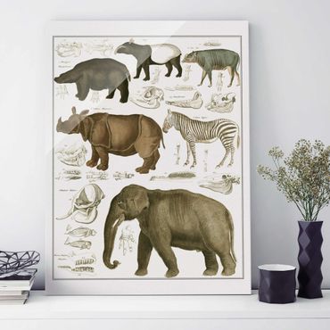 Tableau en verre - Vintage Board Elephant, Zebra And Rhino