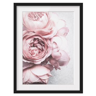 Poster encadré - Light Pink Peony Flowers Shabby Pastel